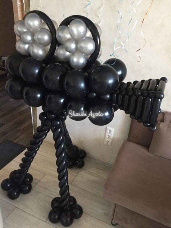 камера из черных воздушных шаров